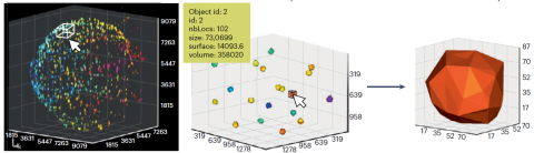 Visualization, segmentation and exploration of 3D SMLM data 
